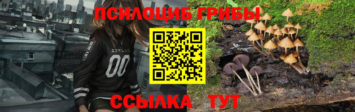 Псилоцибиновые грибы прущие грибы  Галлюциногенные грибы Psilocybe  Белорецк  Вход с VPN 